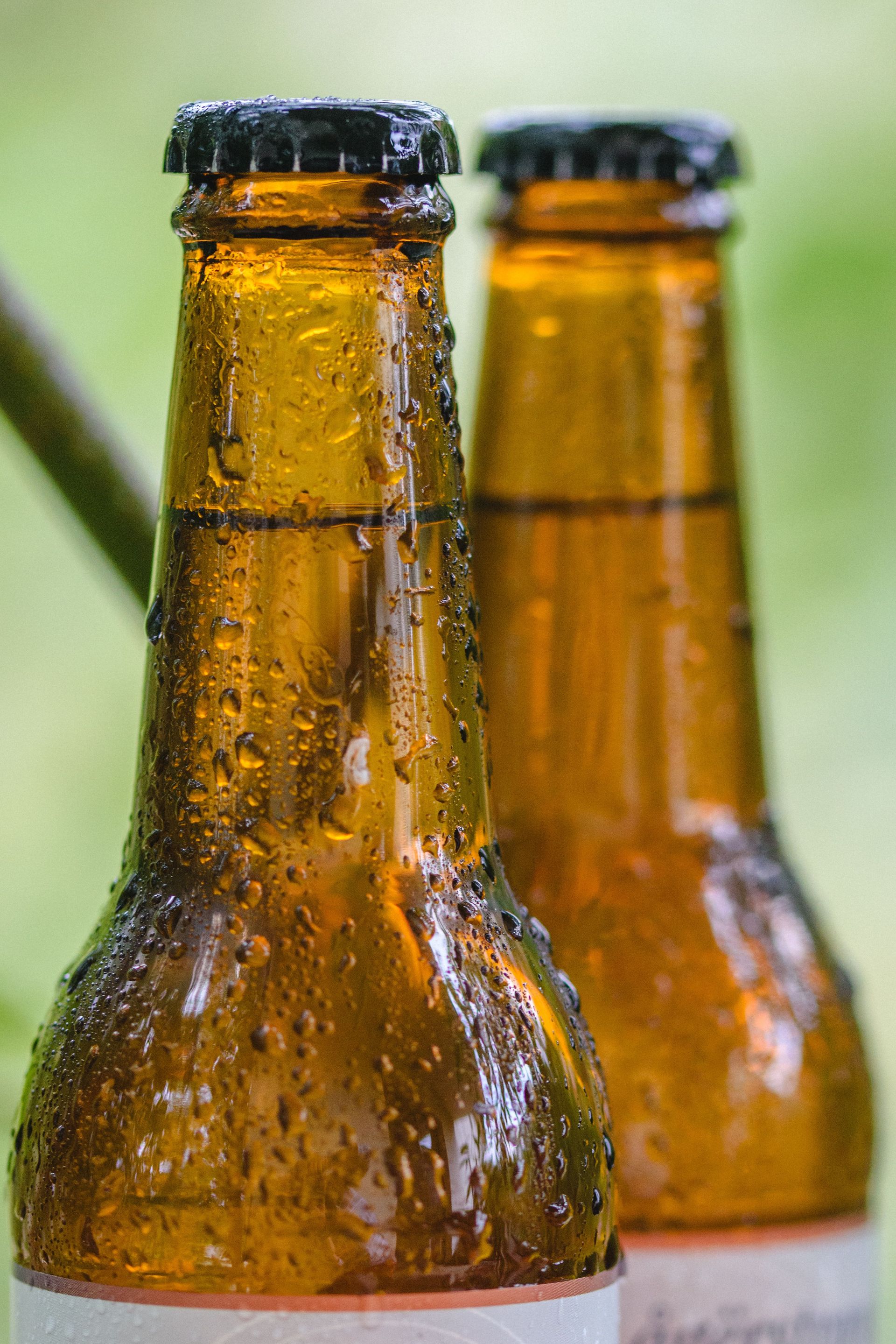 Refreshing dewy beer bottles outdoors on a summer day, perfect for beverage-themed content.